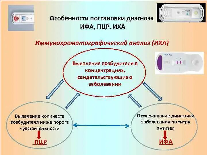 Метод пцр ифа. Иммунохроматографический анализ тесты. иммунохроматографический анализ (иха). иммунохроматографический метод микробиология. иммунохроматографический экспресс анализ это.
