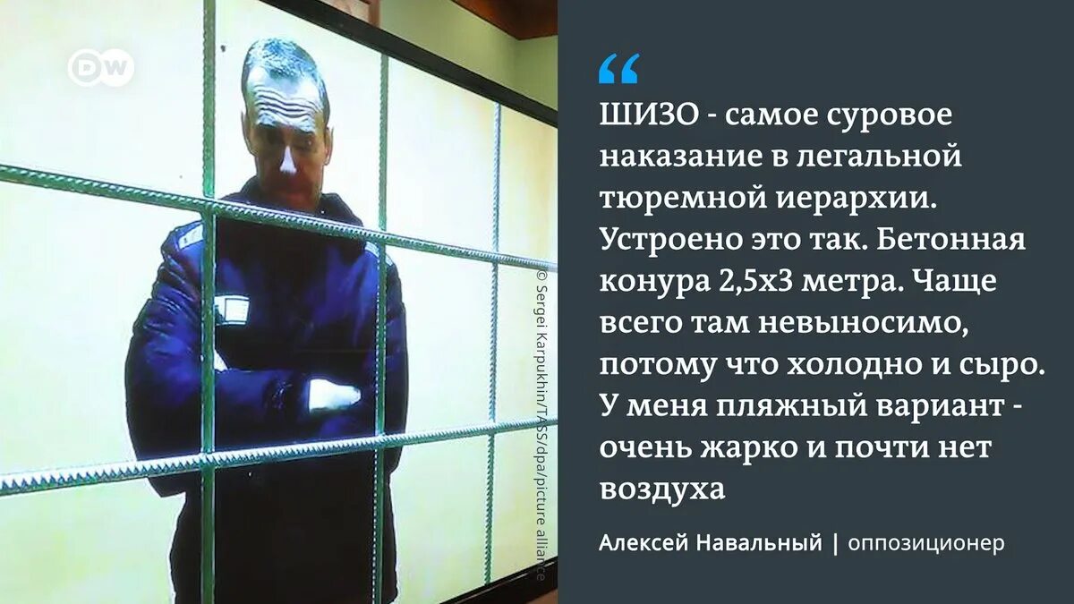 Сколько дней навальный провел в шизо