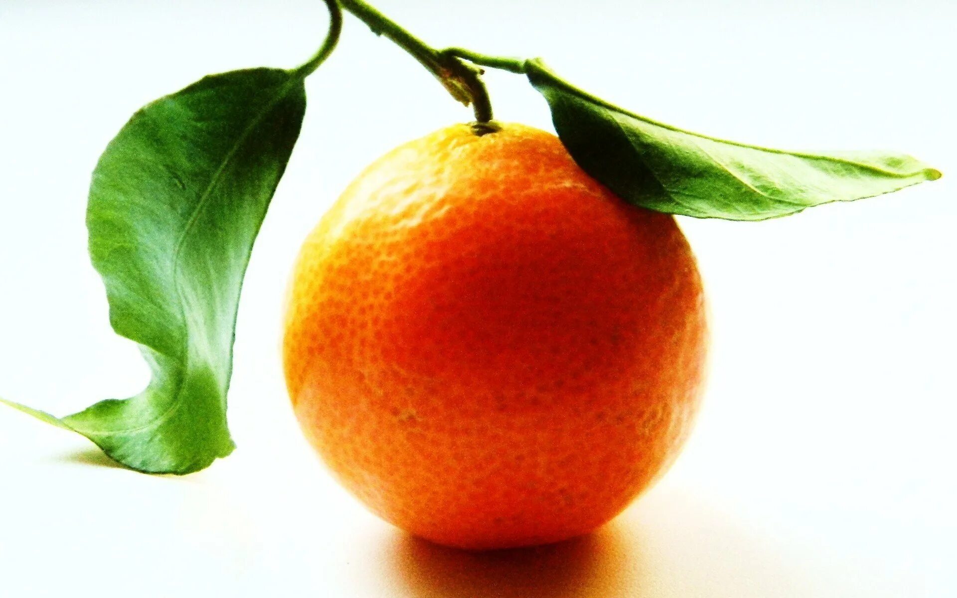 Orange choose. Апельсины. Апельсин фрукт. Красивый апельсин. Апельсин картинка.