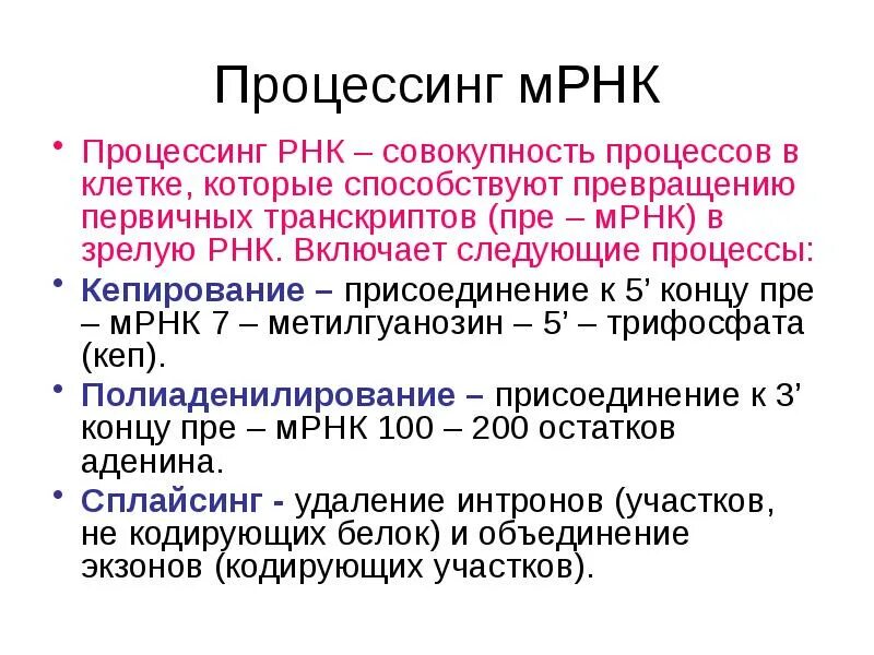 Процессинг РНК. Процессинг матричной РНК. Этапы процессинга МРНК. Процессинг биохимия. Процессинг синтез