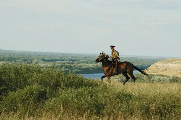 Рассвет в поле. Донской пейзаж донская степь рисунки. Степь широкая кубанский казачий. Донская степь ростовская область. Степи украины.