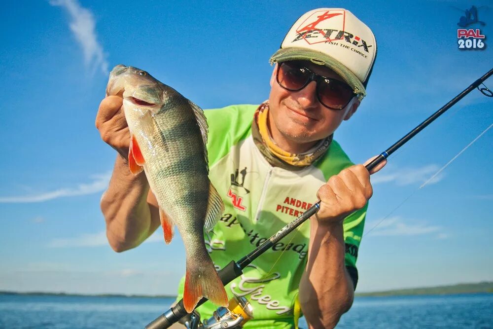 Беляев вихров. М вихров. Беляев вихров. М вихров. М вихров.