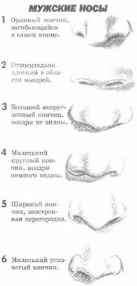 Нос характер женщины. Нос характер женщины. Нос характер женщины. Название форм носа. Нос как характер человека.