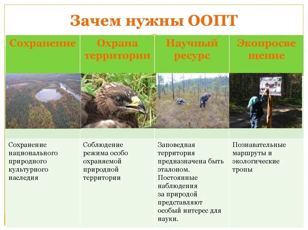 Особо охраняемые природные территории виды. Основные идеи заповедников. Оос охрана окружающей среды. Особые охраняемые территории. Основные типы оопт.
