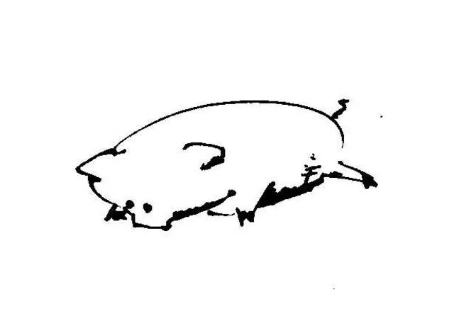 Бегемотик зимой. Стих шла весной по льду. Шла весной по льду свинья. Свинья и полынья. Свинья и полынья.