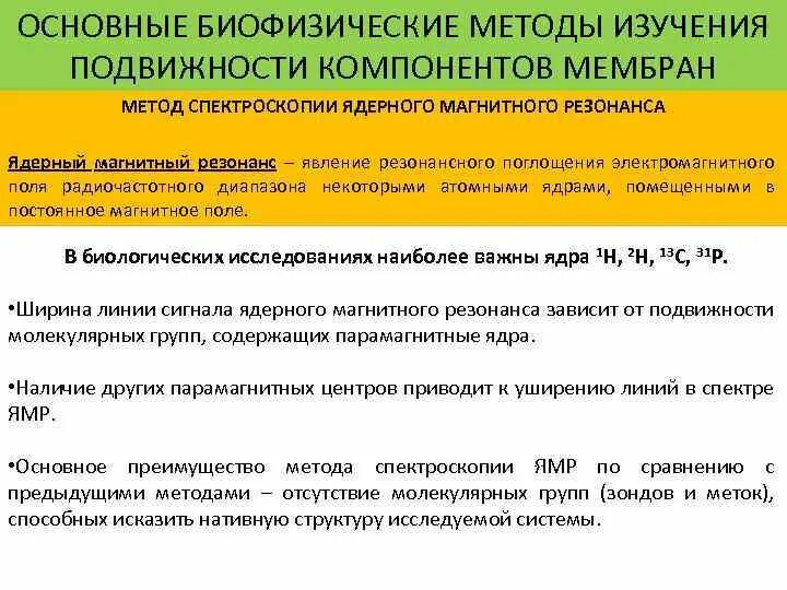 Какие компоненты способствуют сохранению текучести мембраны