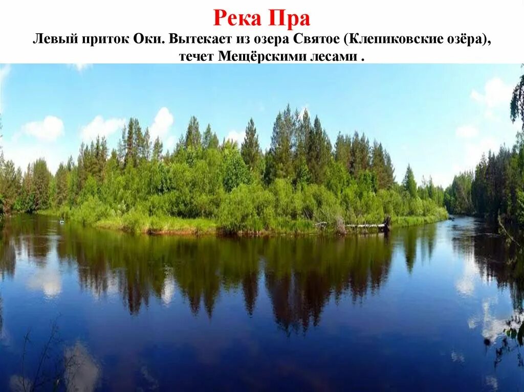 Река пра Мещерский заповедник. Река пра. Озеро святое Мещера. Реки и озера Рязанского края. Природная зона рязанской области