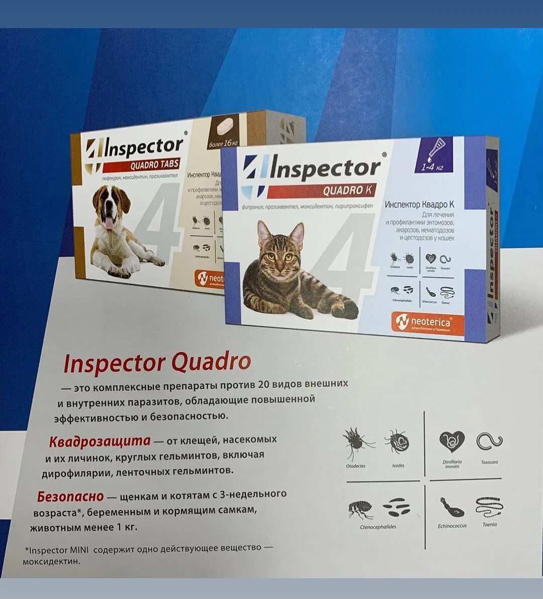 Inspector quadro tabs цены. Inspector Quadro к. Inspector Quadro Tabs. Инспектор Квадро табс для собак инструкция. Таблетки инспектор Квадро табс.