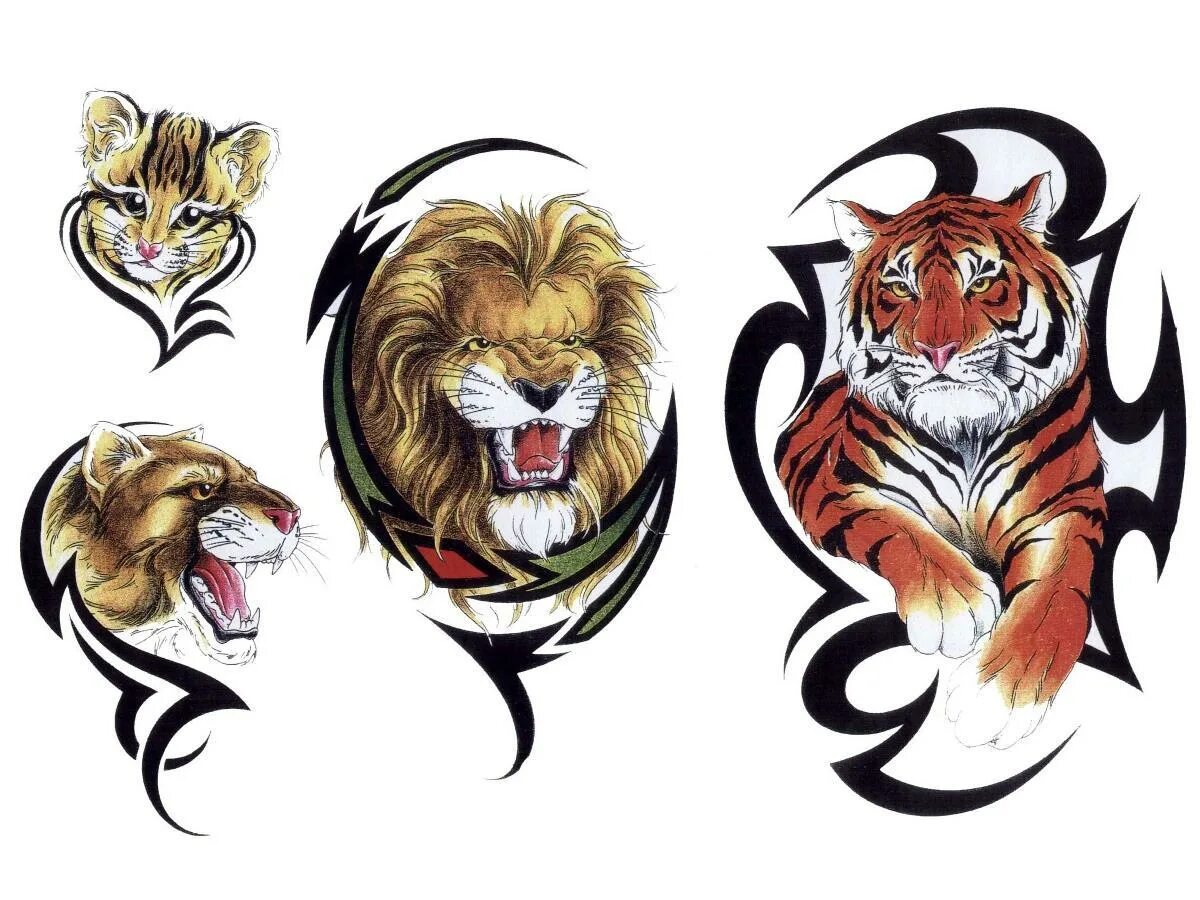 лев родившийся в год тигра