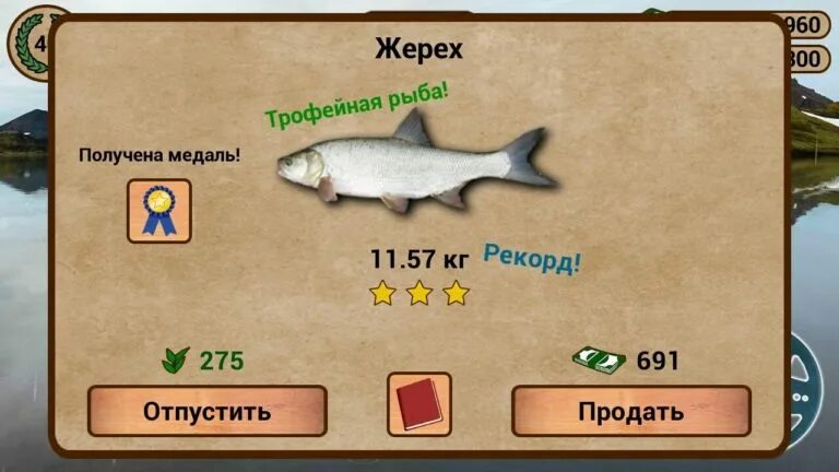 My fishing world на деньги. Моя рыбалка игра. Моя рыбалка HD. Моя рыбалка андроид. Рыбалка HD игра.