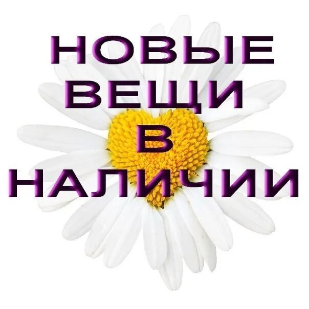 На сайте в наличии есть. Товар в наличии. Вещи в наличии. Продукция в наличии. Новый товар в наличии.