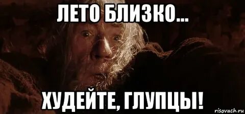 Поверили глупцы другим передают старухи