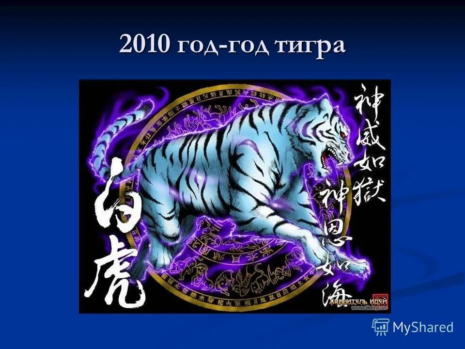 24 й год какого. Год тигра 2010 год. Го тигра. 2010 Год какого тигра был. Тигр китайский гороскоп.