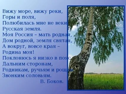 Любимый родимый