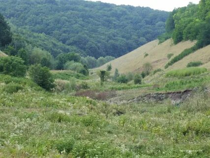 Черновицкая область украины