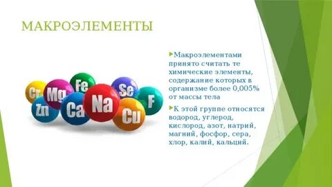 Химические элементы относящиеся к макроэлементам