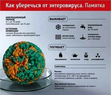 Энтеровирус опасен ли