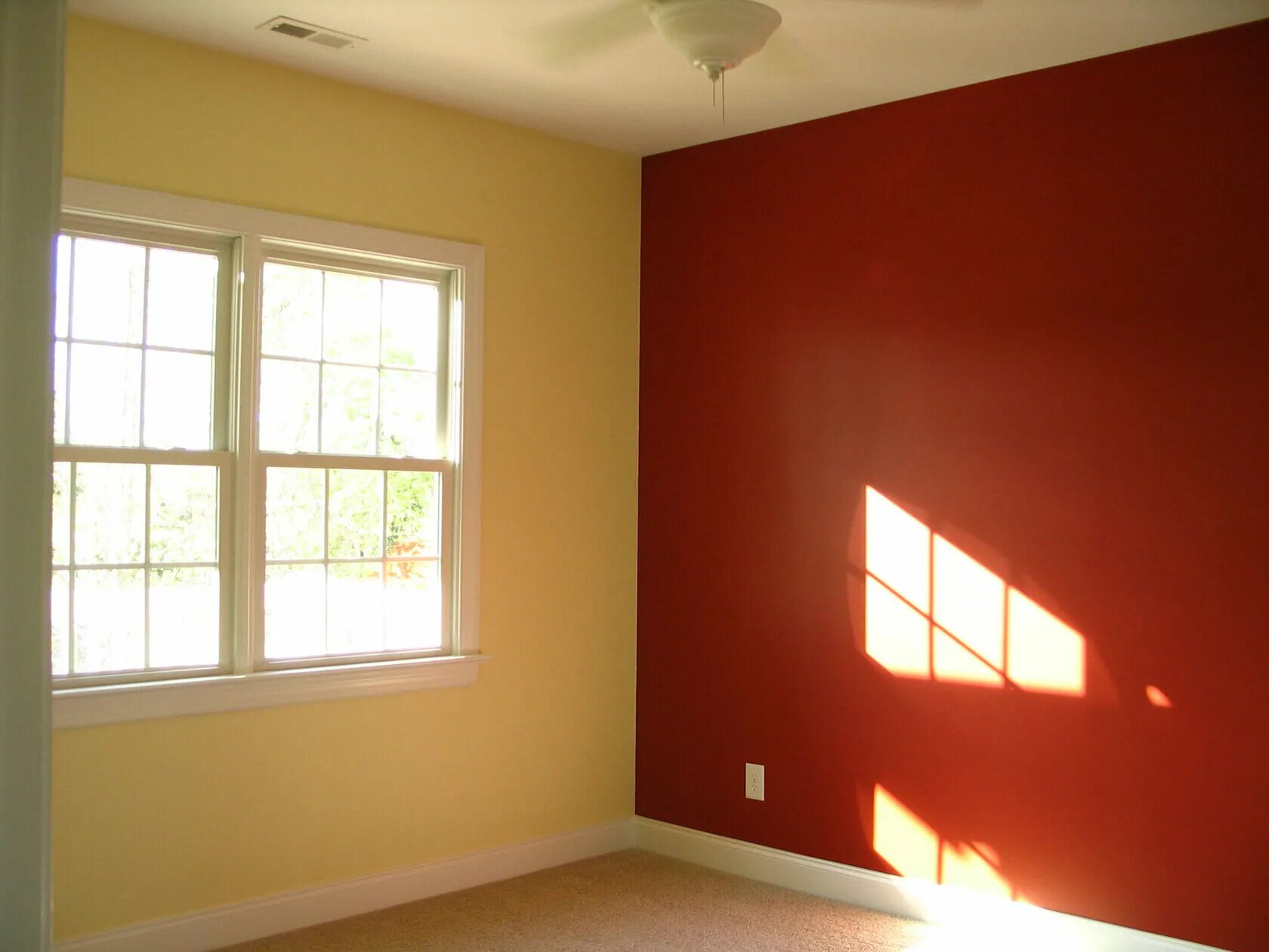 Интерьерная краска для стен. Крашеные стены в квартире. Интерьерная краска для стен. Терракотовая палитра dulux. Краска для стен в помещении.