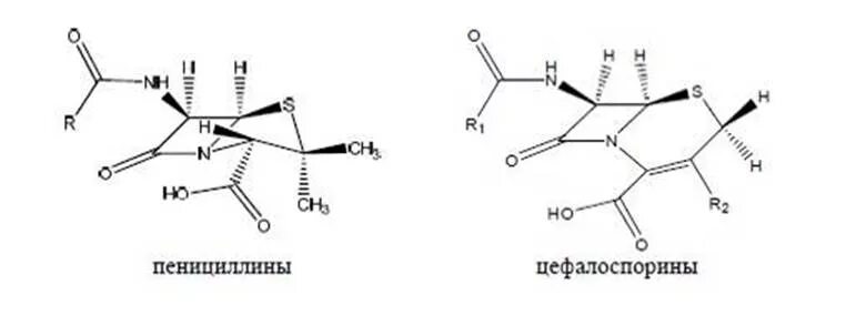 Пенициллин схема. Строение пенициллина. Пенициллин структурная формула. Строение пенициллинов. Получение пенициллина