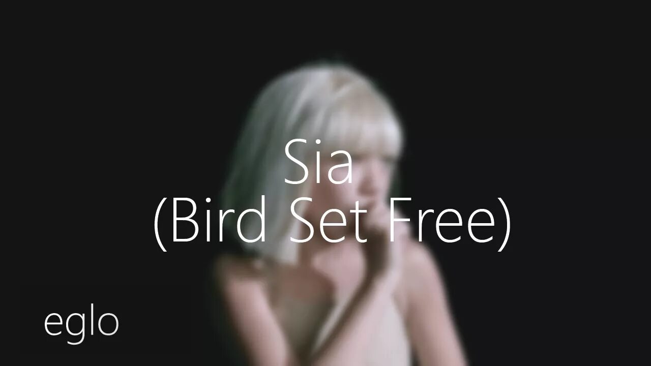 Sia Bird Set. Sia - Bird Set Fire.