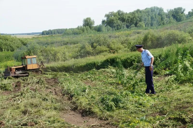 Погода в макурино юргинский. Деревня Талая Юргинский район. Деревня Талая Кемеровская область. Село поперечное Кемеровской области Юргинского района. Лесхоз Юрга директор.