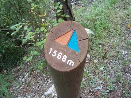 1568