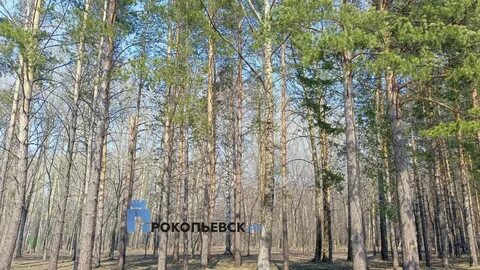 1 погода сухая и безветренная