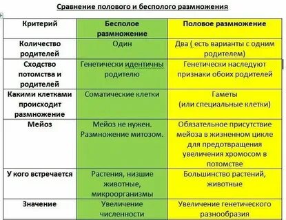 Какова биологическая роль бесполого и полового