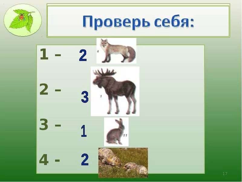 Сообщение о сообществе 5 класс. Природные сообщества 5 класс биология. схема природного сообщества 5 класс. природные сообщества 5 класс презентация. природные сообщества схема 3 класс.