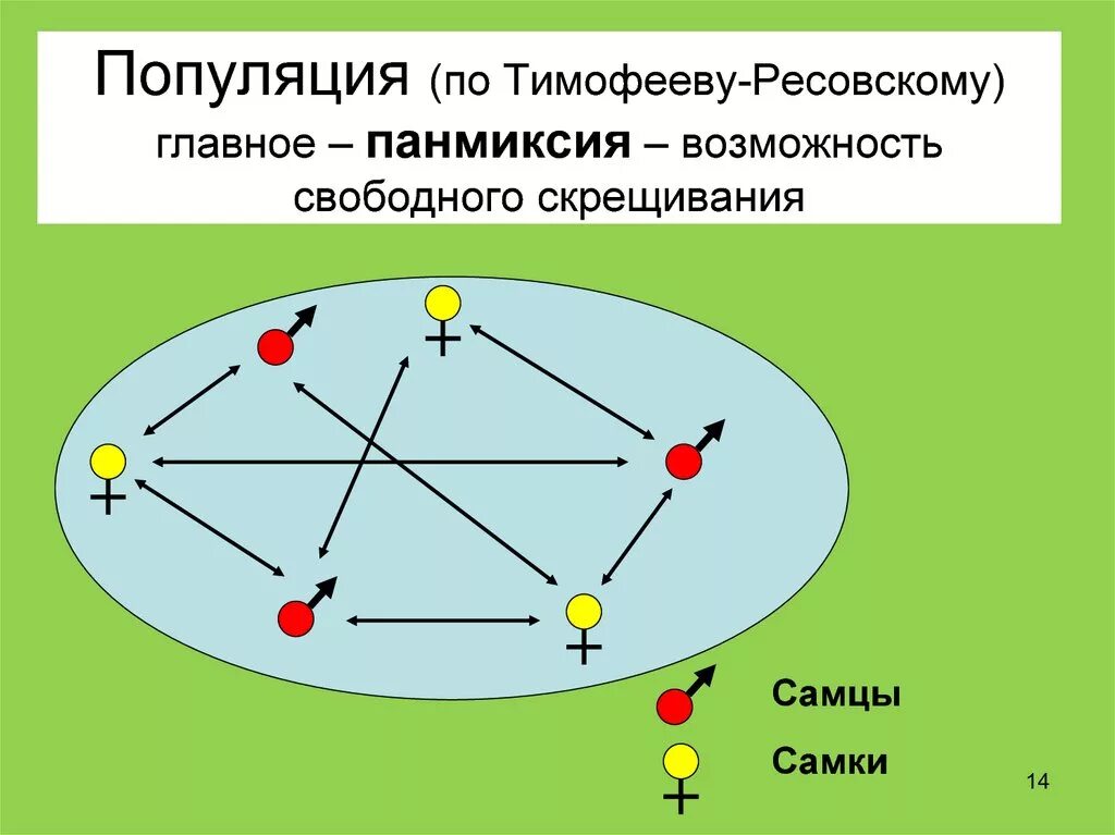 Свободное скрещивание