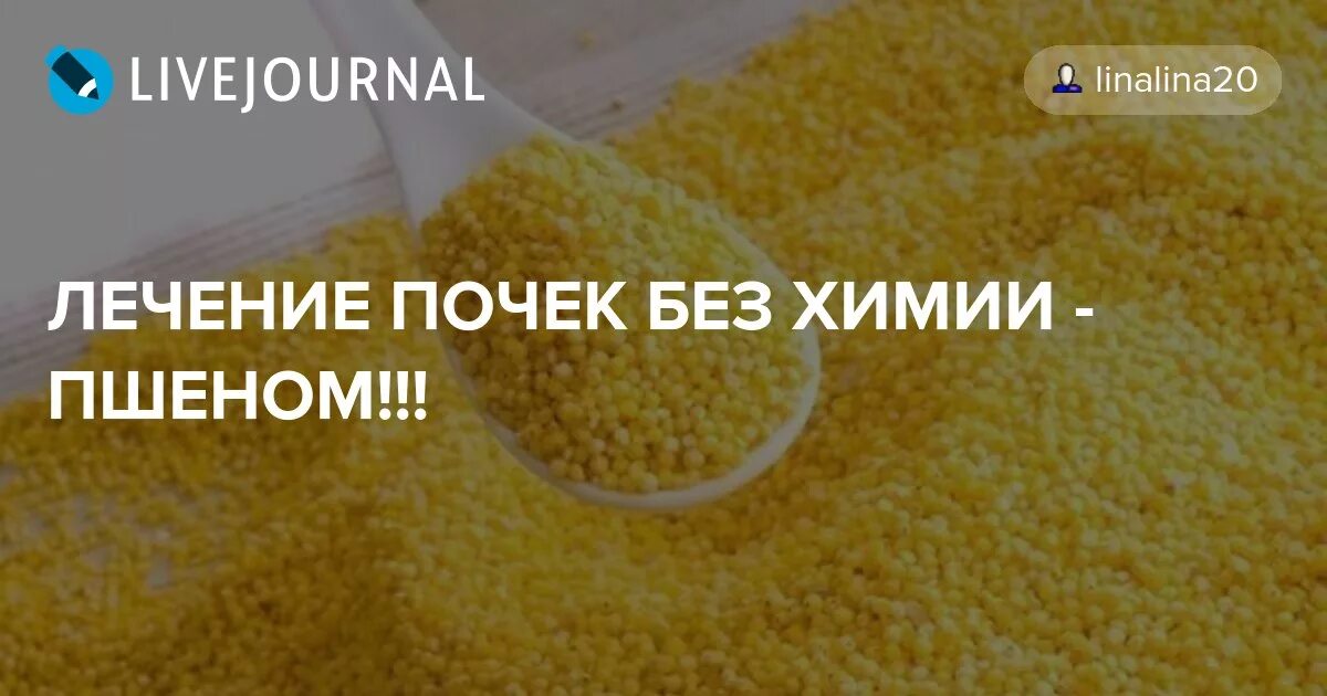 Народные средства от почек пшеном. Как сварить пшённую кашу. Настой из пшена. Отвар пшена для почек. Лечение почек пшеном старинный рецепт.
