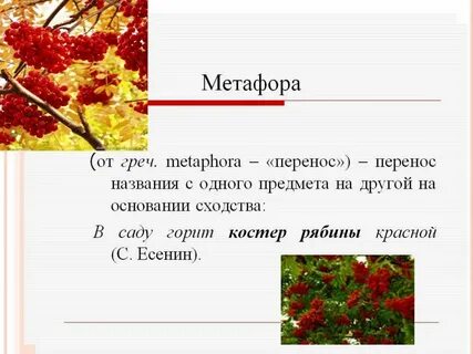 Огонь рябин средство языковой выразительности