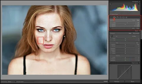 At such moments you can use the following several Lightroom photo editing t...