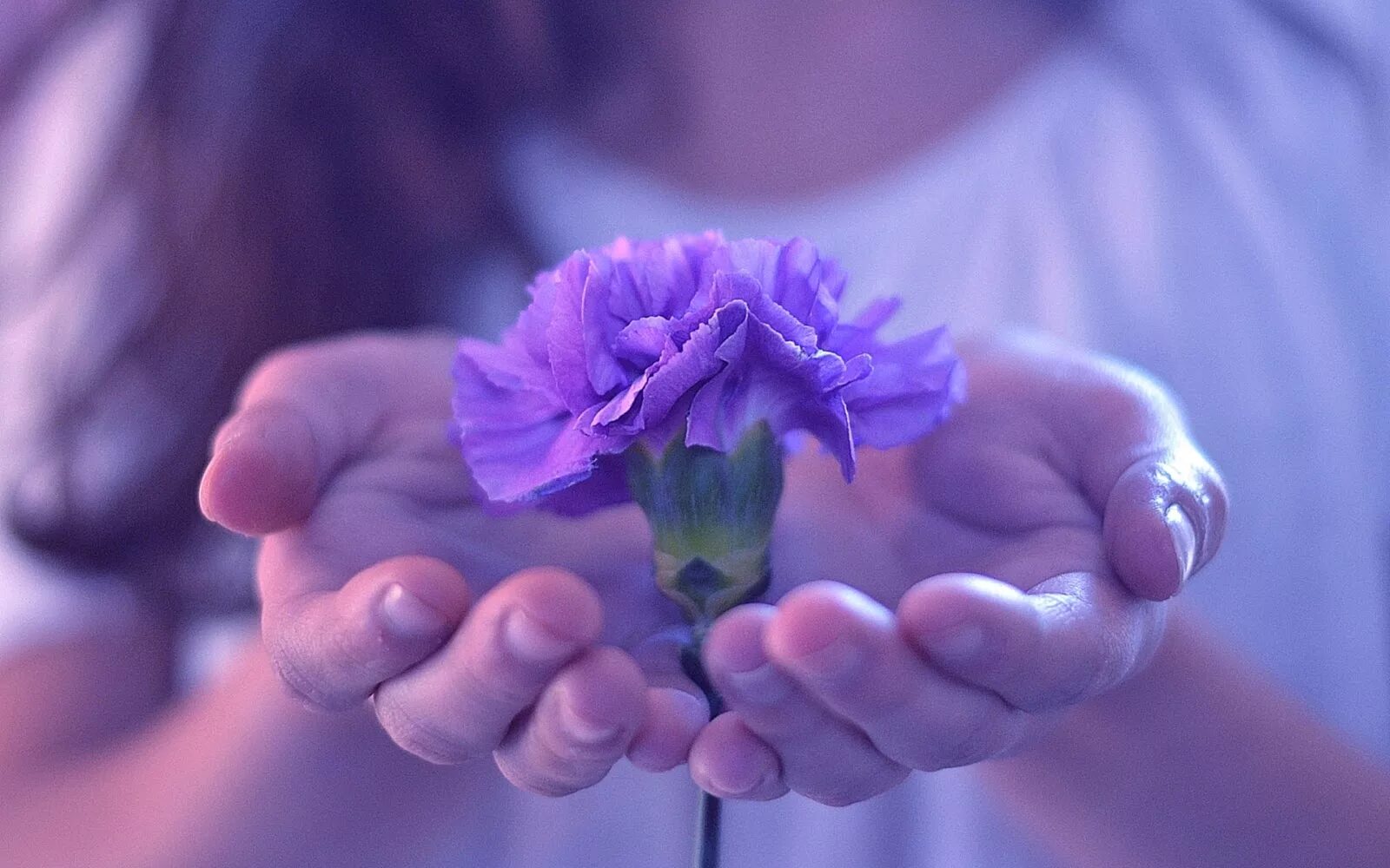Душевно отзывчивый. Цветок на руку.. Нежные цветы в руках. Цветы в ладонях. Трогательные цветы.