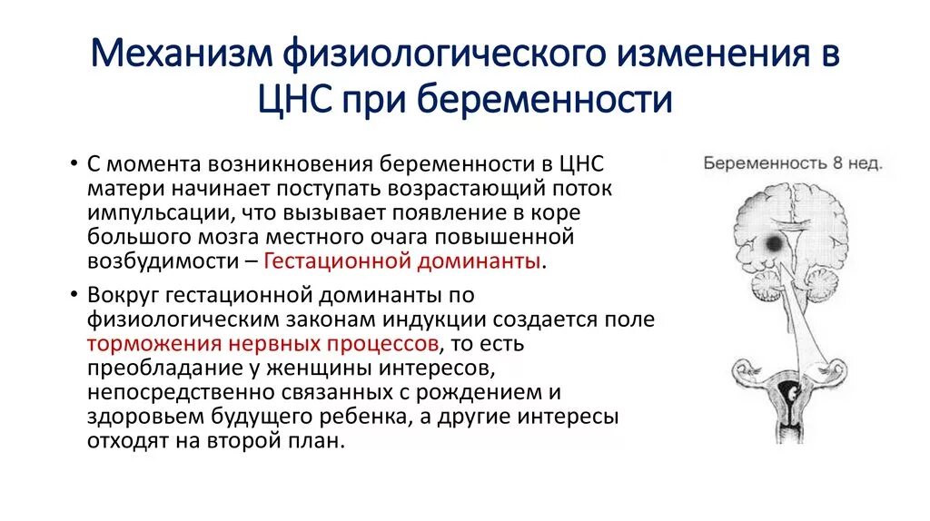 Физиологические изменения беременной. Изменения нервной системы при беременности. Изменения ЦНС. ЦНС при беременности. Изменения ЦНС У беременной.