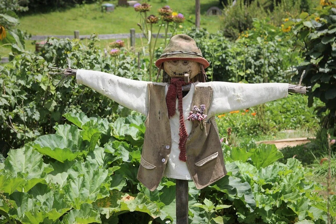 Scarecrow