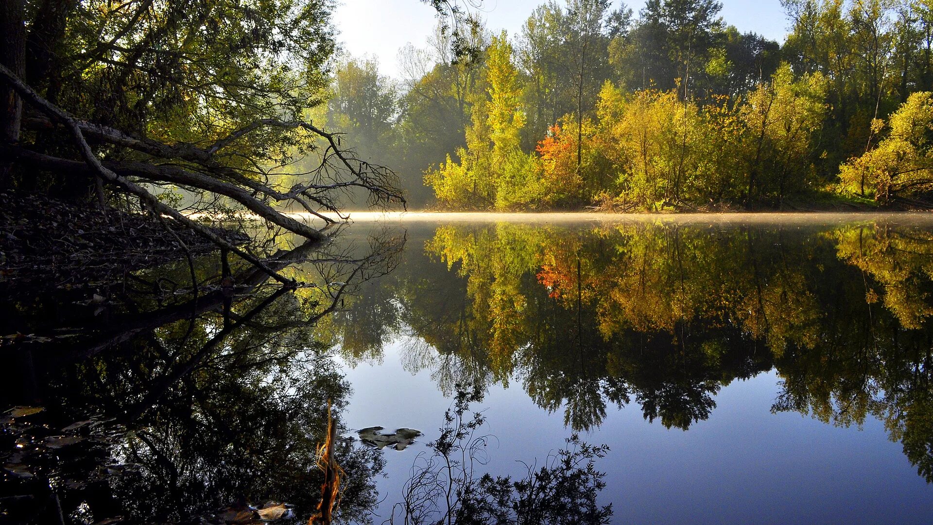 В природе отражаются на. Озеро зеркальное Нижний Новгород автозавод. Природа озеро. Озеро в лесу. Природа лес река.
