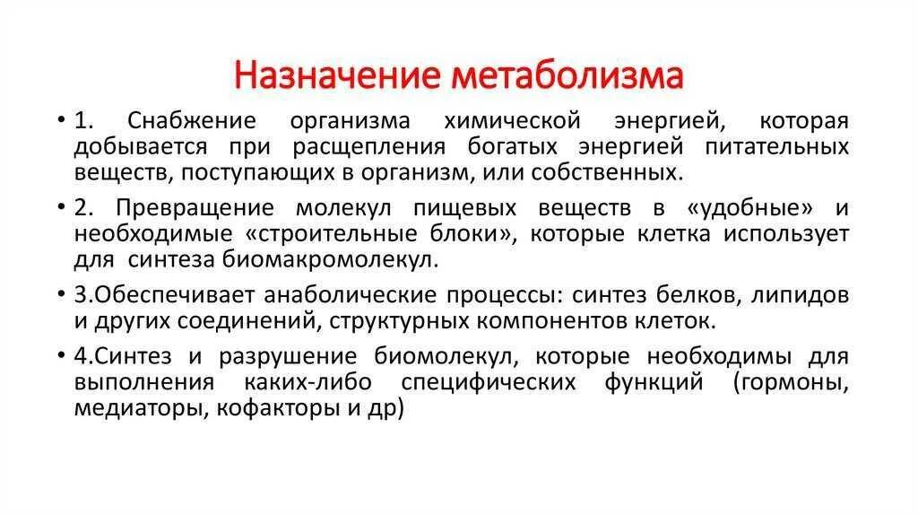 Замедление метаболизма у животных. Назначение метаболизма. метаболизм. назначение метаболизма.. изменение обмена веществ. обмен веществ у человека.