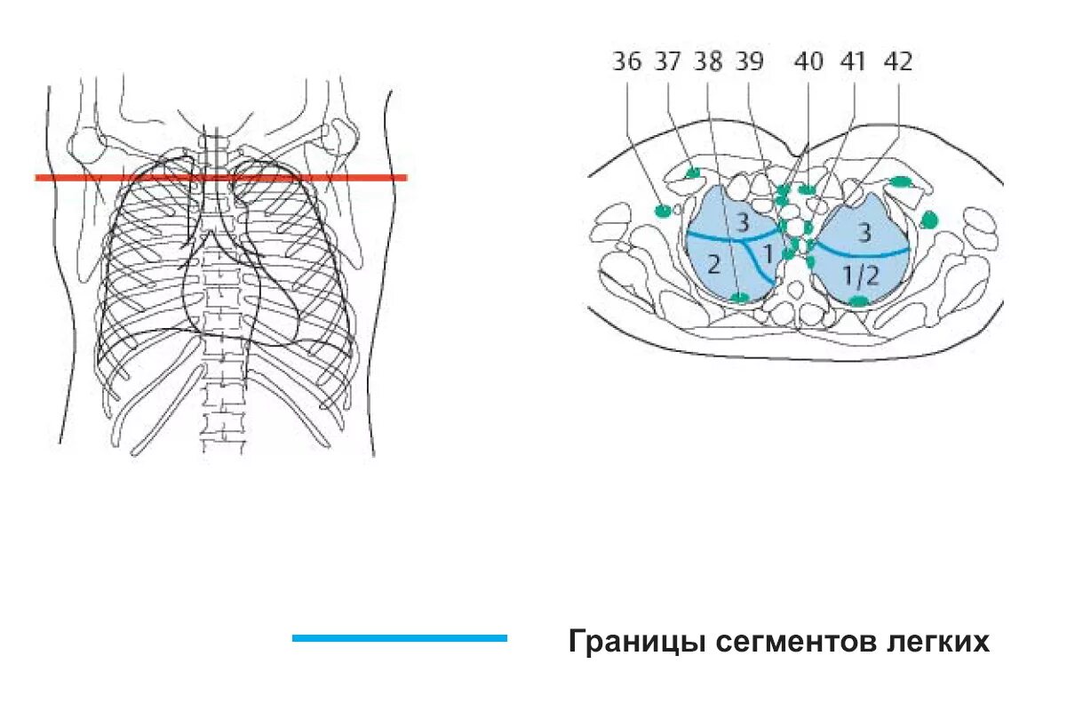 Сегменты границы