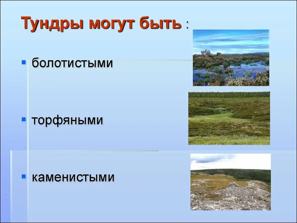 Для зоны тундр россии характерны. Тундра презентация. Тундра России презентация. Зона тундры презентация. Природная зона тундра проект.