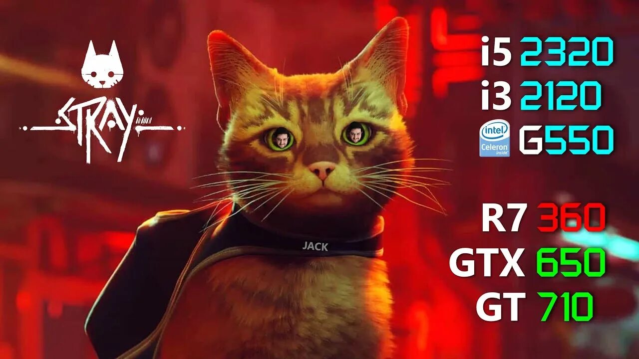 Stray системные требования пк. Stray игра. Стрей кот. Stray игра про кота. Stray системные требования.