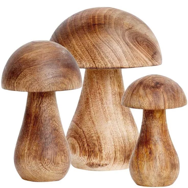 Деревянный гриб. Деревянные грибочки. Заготовка гриб деревянный. Деревянные грибы для сада. Купить оби дерева