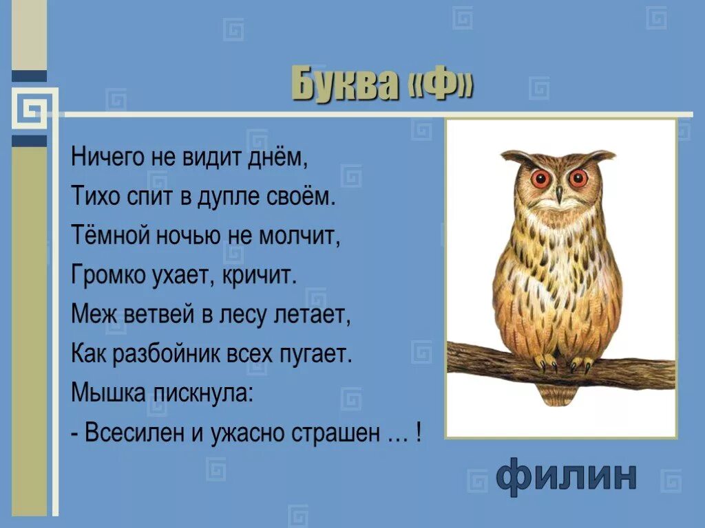 Терраса чиван загадка с совами. Загадка про сову. филин загадка для детей. загадка про филина. загадка про филина для детей.