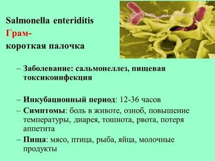 Определение антител к сальмонеллам