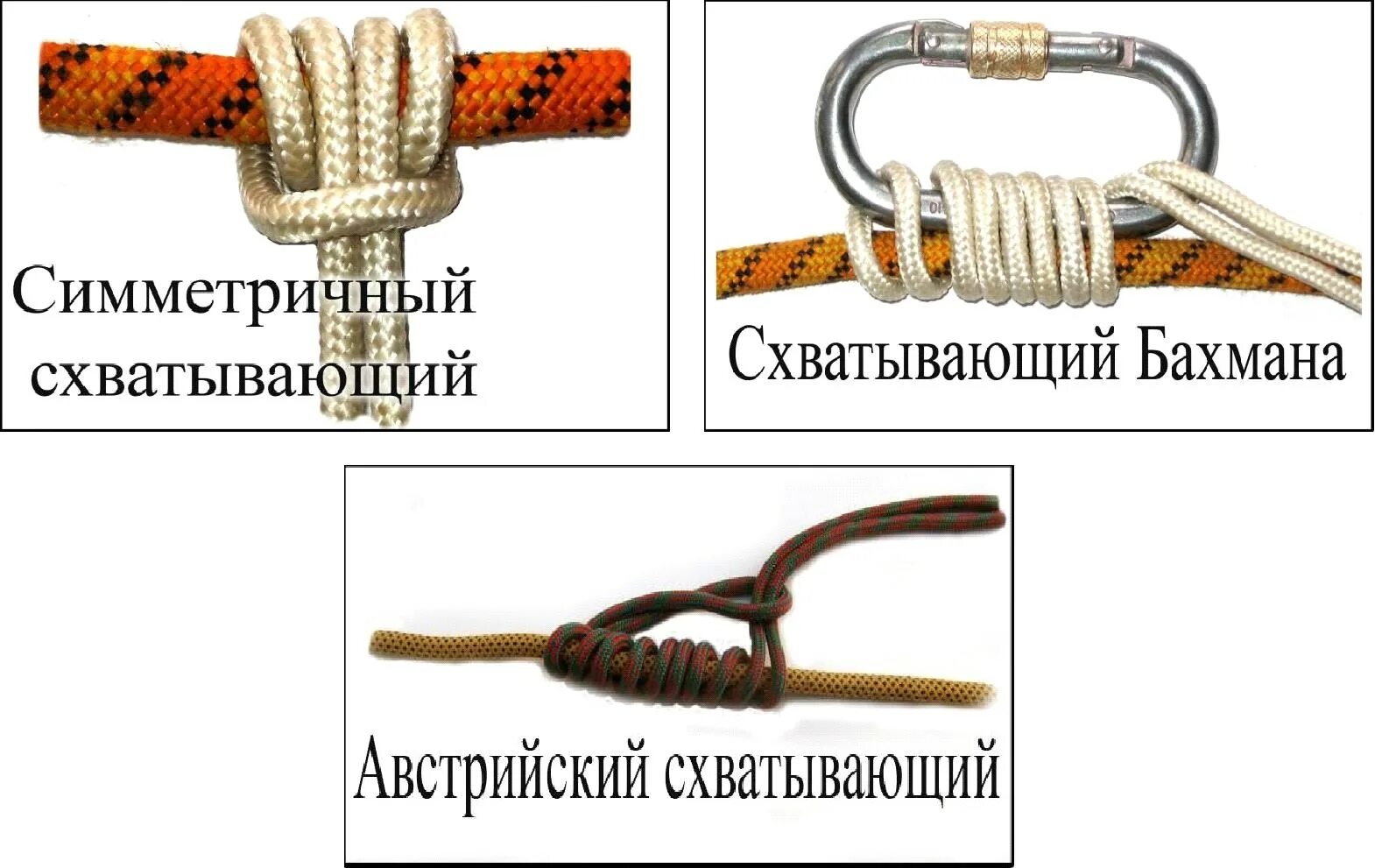 Схватывающий узел как вязать. Австрийский схватывающий узел. симметричный схватывающий прусик узел. австрийский схватывающий узел схема. схватывающий одним концом узел схема.