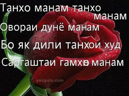 Ман ошики