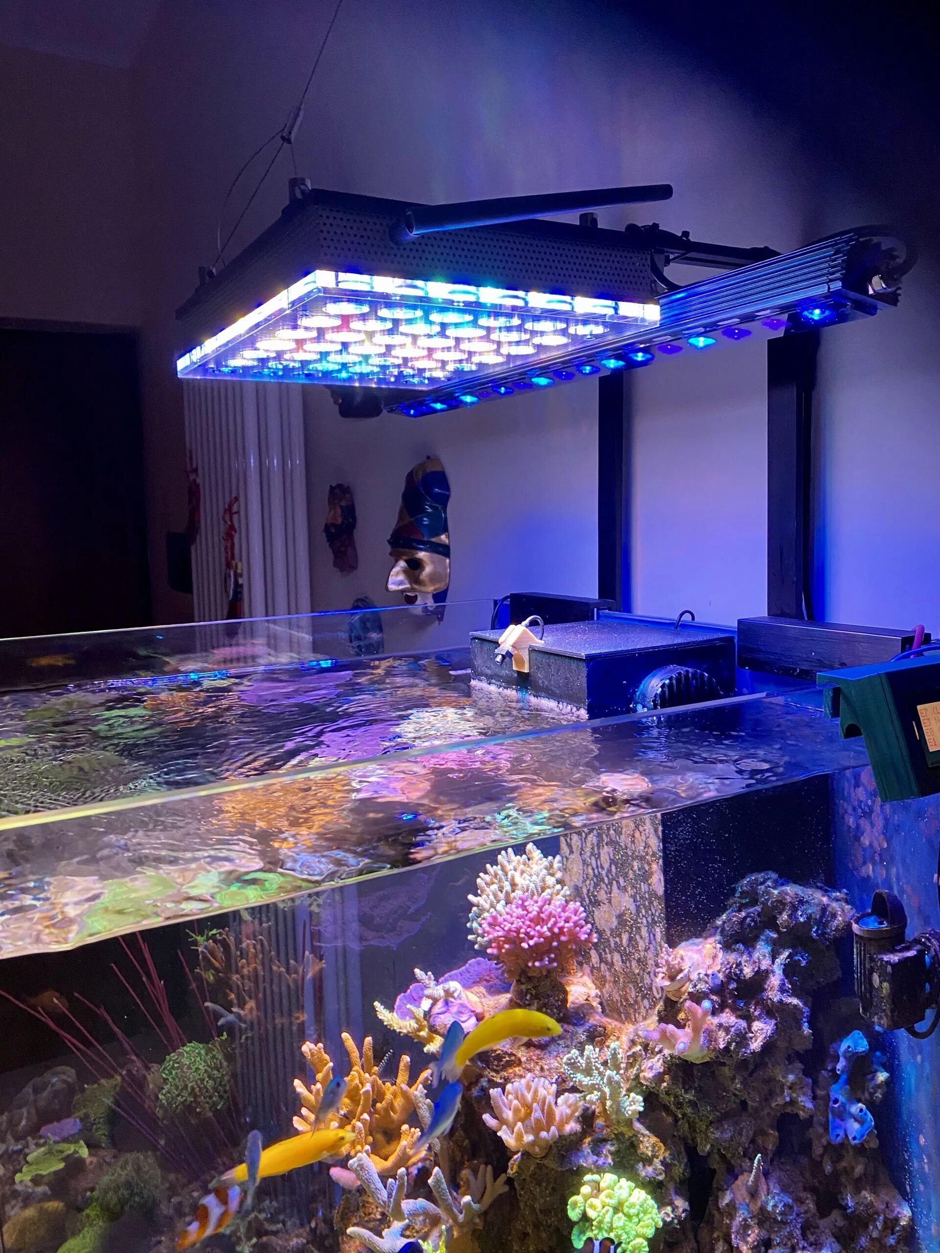 Аквариум led освещение. Риф для аквариума. reef bar led light для рифа. аквариум открытый подсветка. рифовый аквариум.