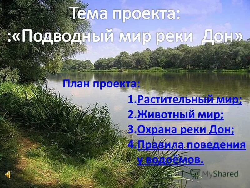как люди вличют нареку. влияние человека на реку. что люди делают для охраны реки пышма. что люди делают для охраны реки пышма. сообщение о реке пышма.