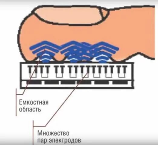 Почему датчик отпечатка. Почему датчик отпечатка