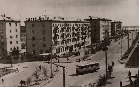 История камышинского
